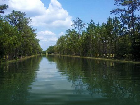 water reflection using the displace filter preview